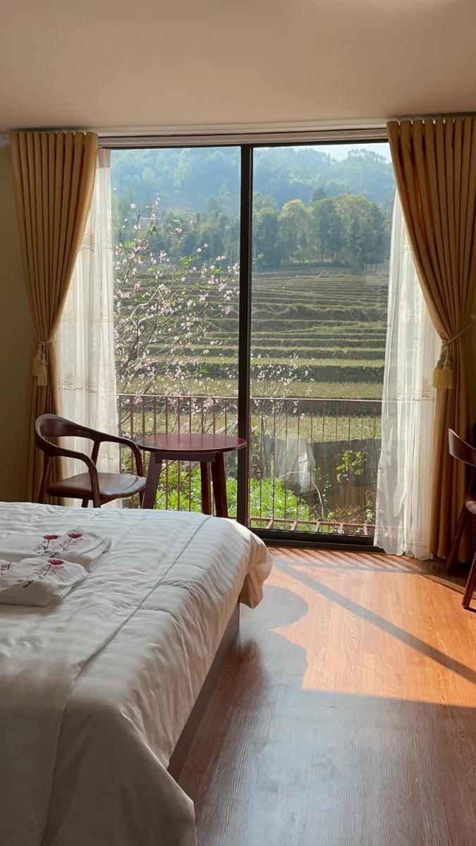 Aurora's House - Housity