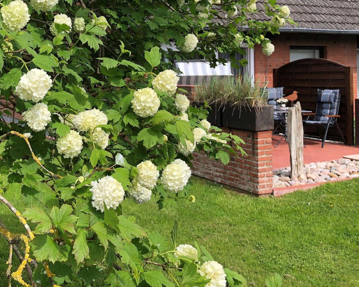 Suitetrails - Ferienwohnung-Eidernest