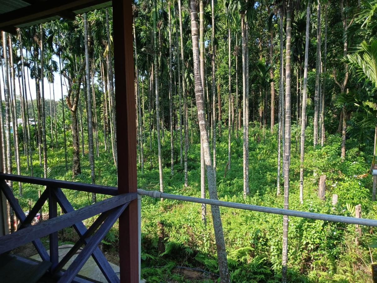 DOOARS VELLEY HOME STAY - Housity