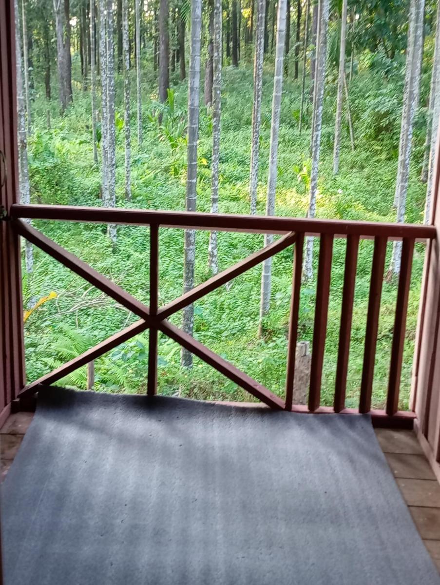 DOOARS VELLEY HOME STAY - Housity
