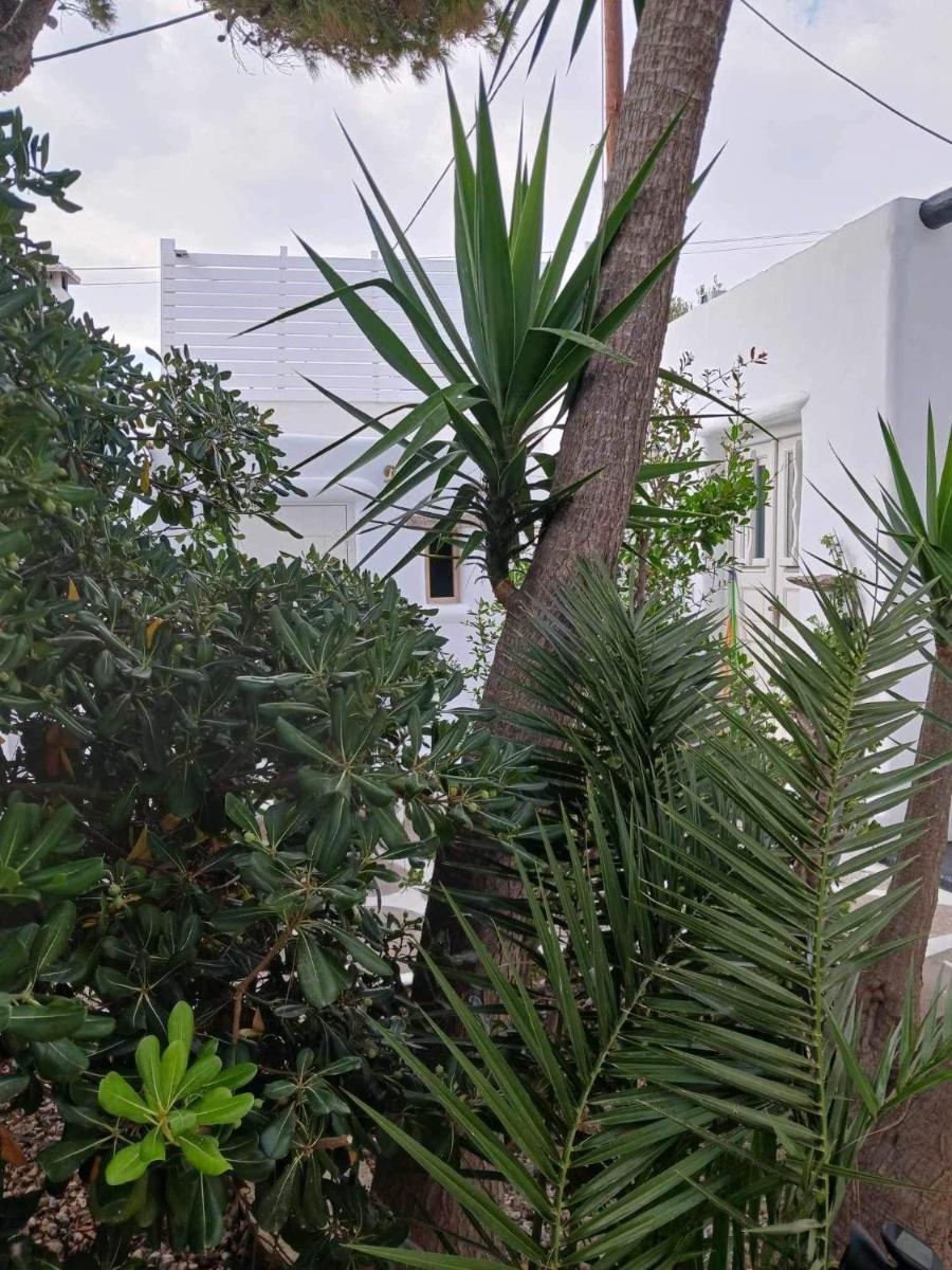 Cassaris Mykonos - Housity