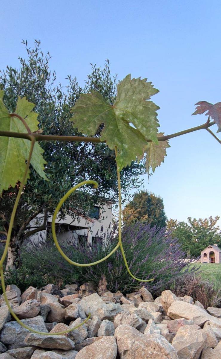 Maison climatisée proche rivière en vallée de la Drôme - Housity