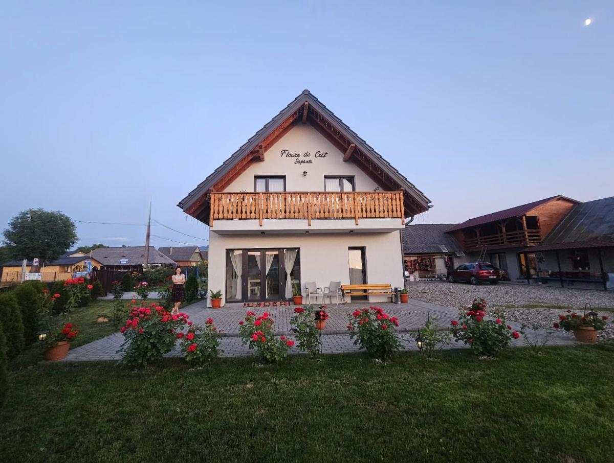 Floare de Colt Sapanta - Housity