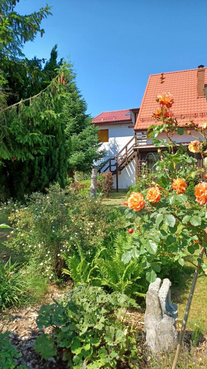 Siedlisko pod Wierzba - Housity