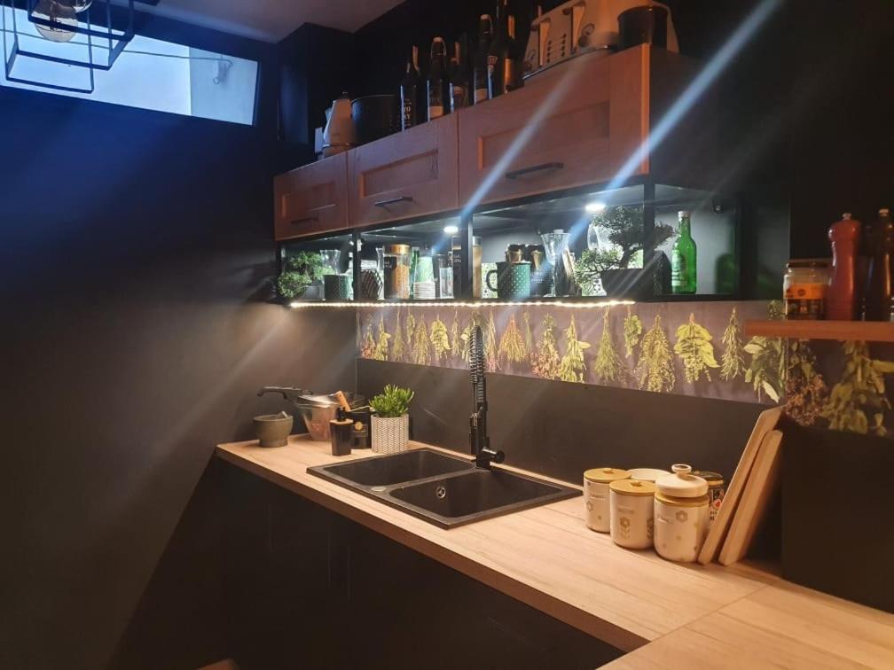 Pensjonat Slesin Piotrkowice - Housity