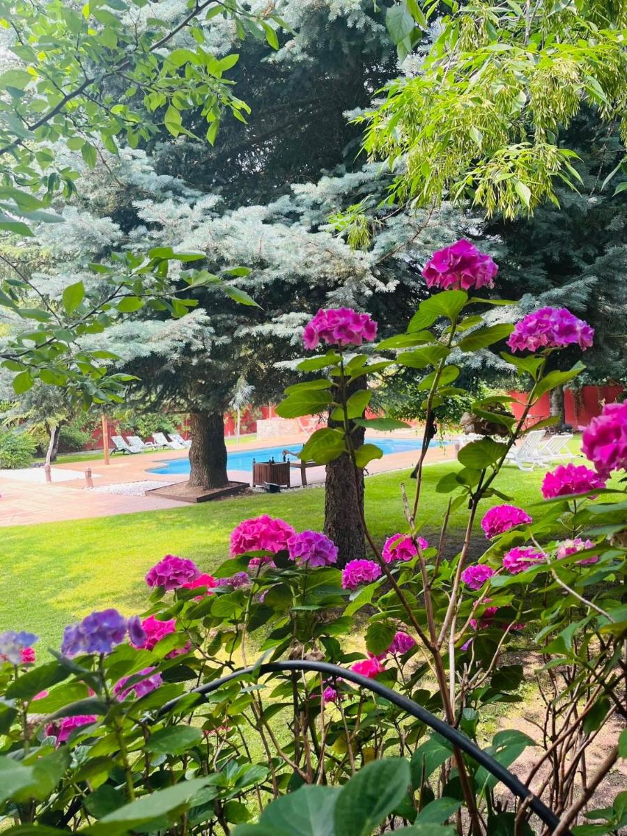 B&B Concha - Housity