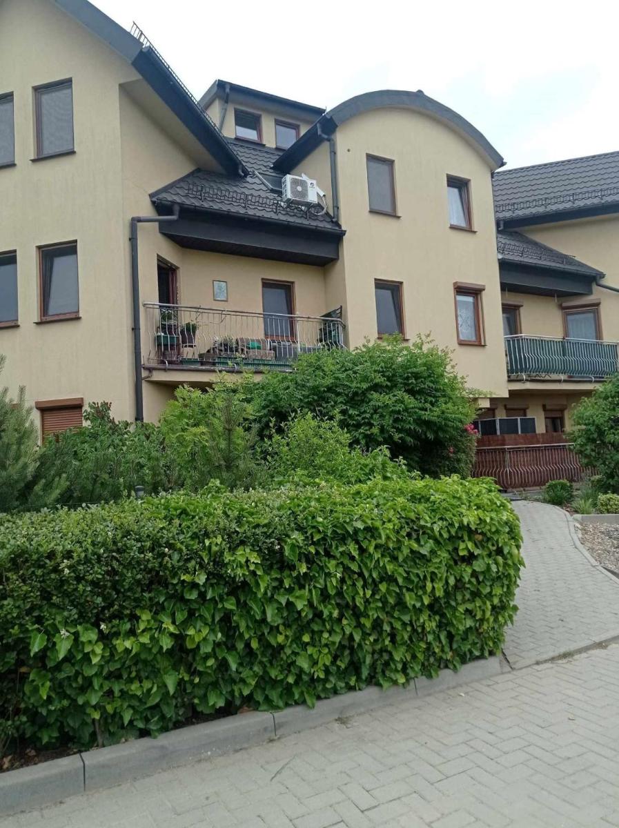 Apartament Herberta - Housity