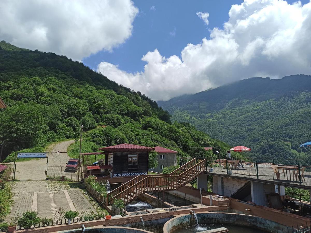 YEŞİLALAN OTEL - Housity