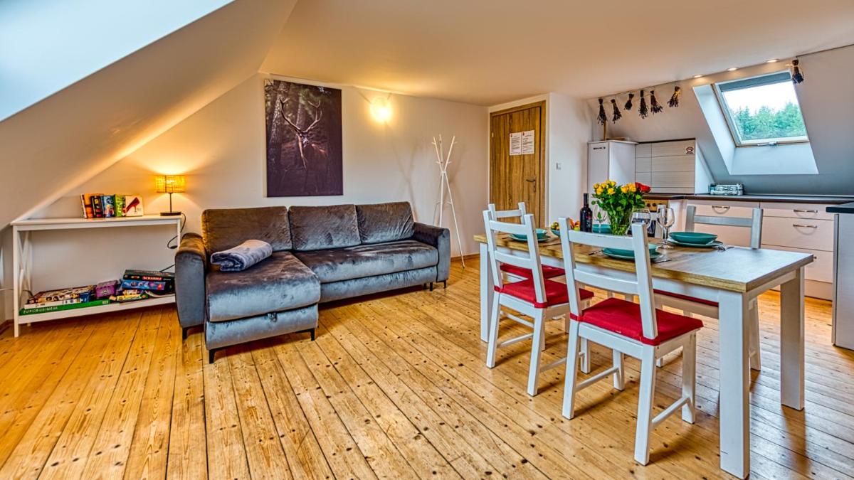 Izerska Baza - basen, ebike, narty, sauna, jacuzzi, las blisko Świeradów Zdrój - 5D Apartamenty - Housity