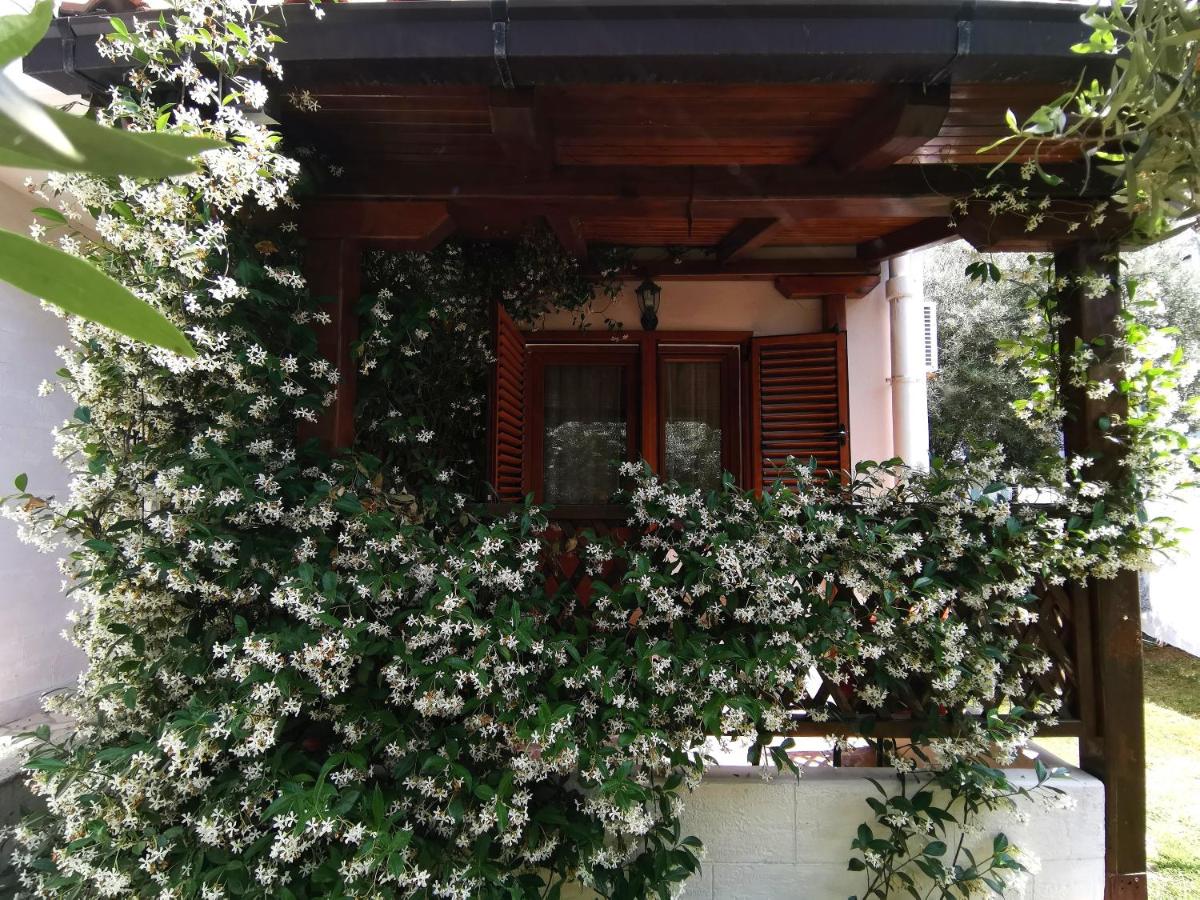 Apartments Maris Garden - Housity