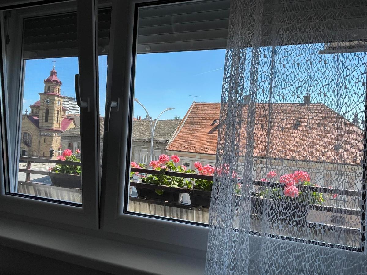 Sunny apartment - Housity