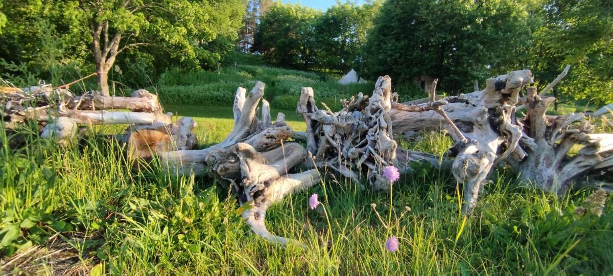 Mereääre Glamping ja Rannamaja - Housity