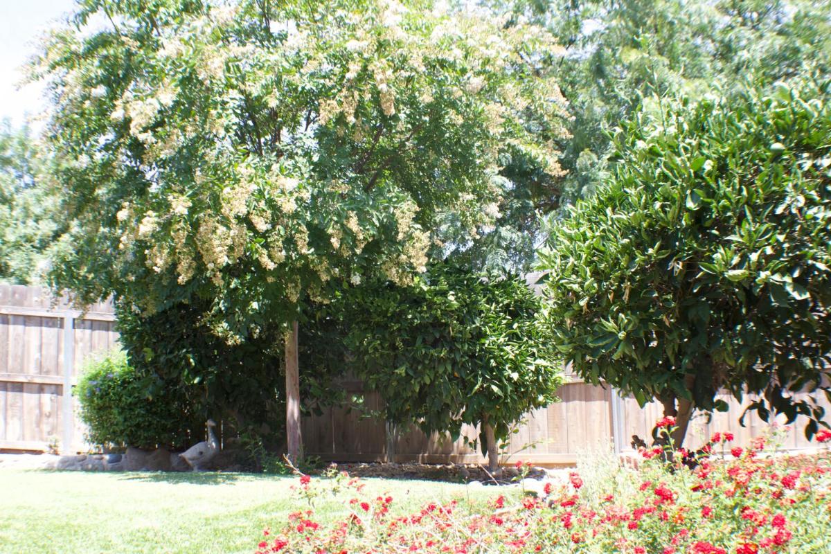 Gateway Retreat: Short Drive to the Sequoias - Housity
