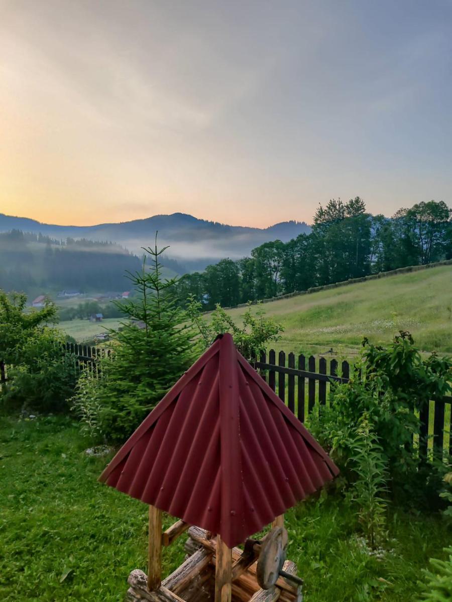 Bucovina mea - Housity