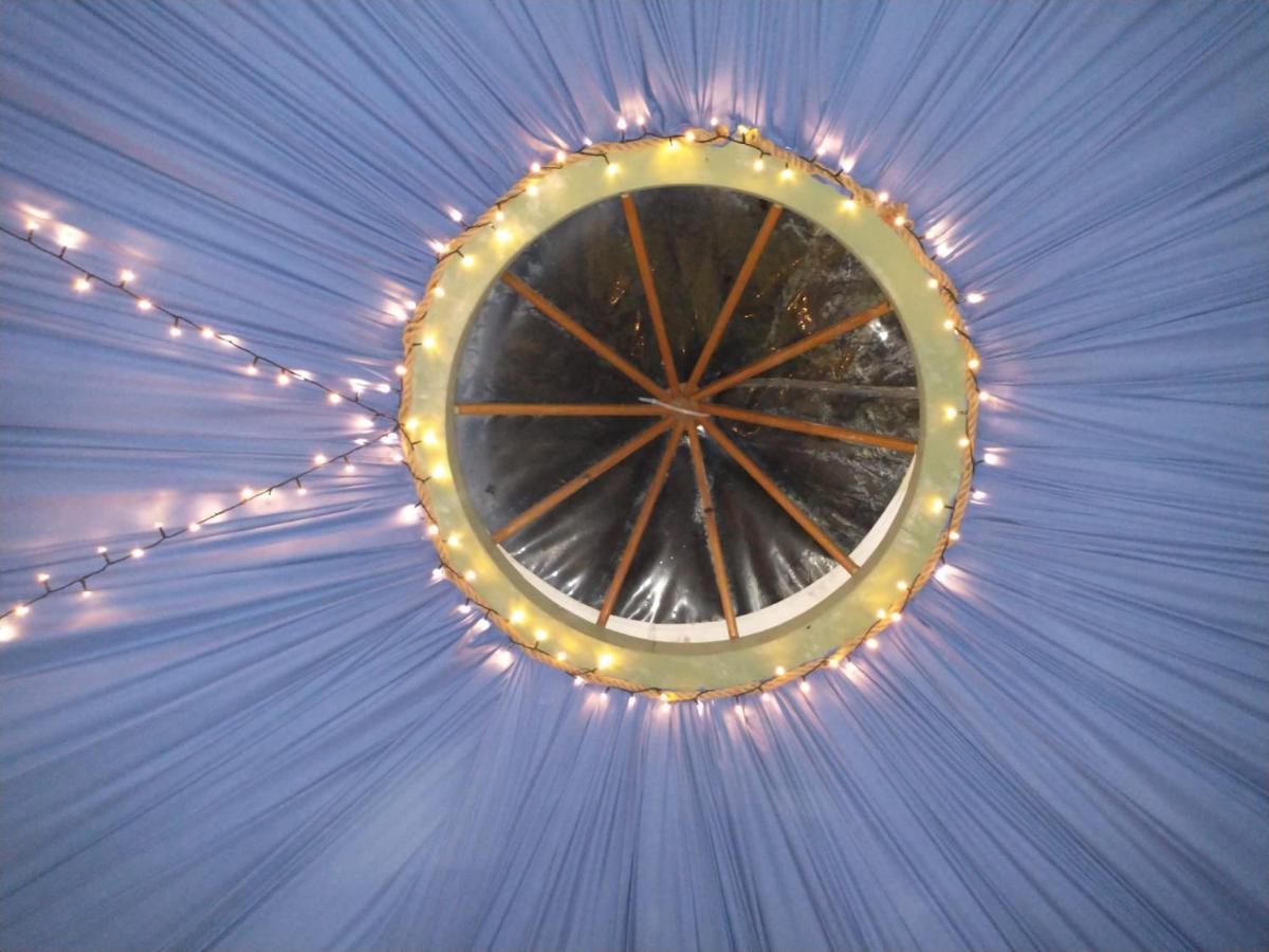 South Wales Yurt-Cosy, log burner & private garden - Housity
