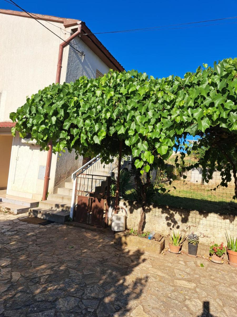 House Jan,Pula - Housity