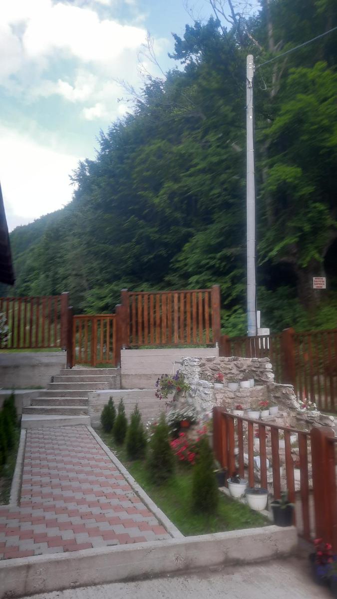 Izvorul Maleii - Housity
