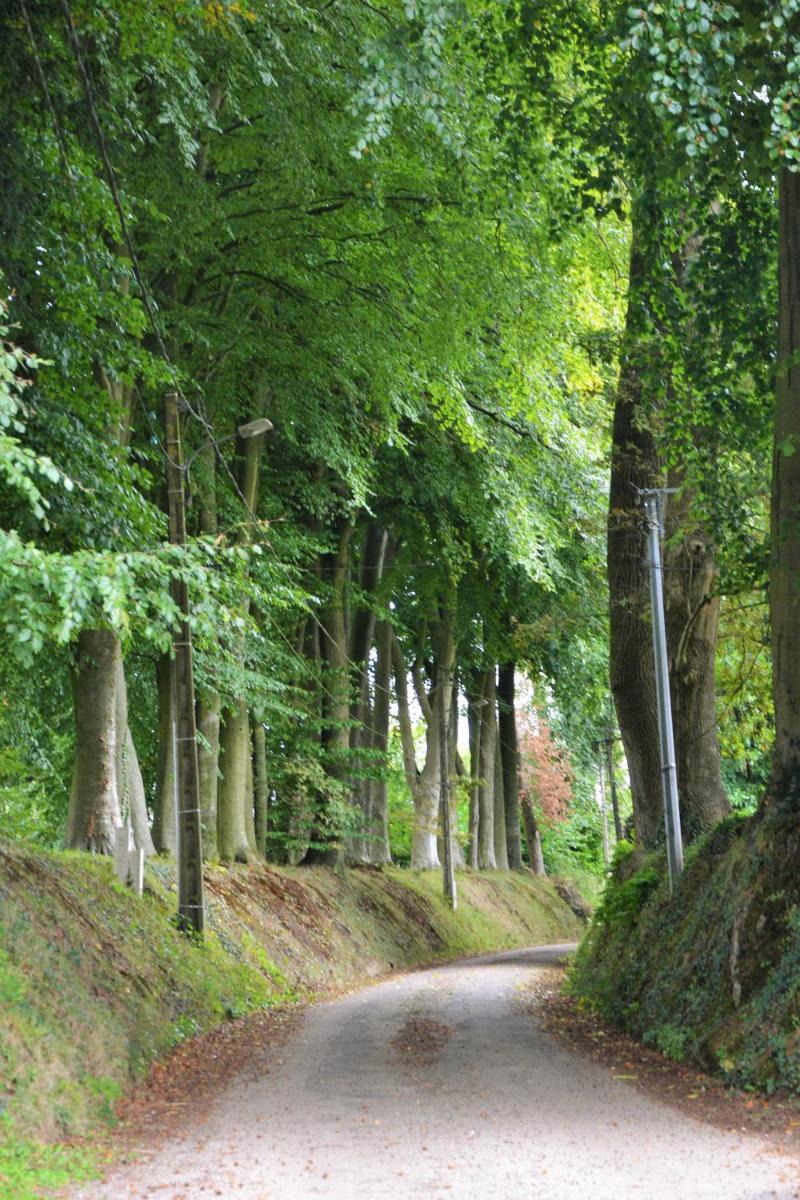 Chambre d'Hôtes Le Séchoir à Lin demeure de charme - Housity