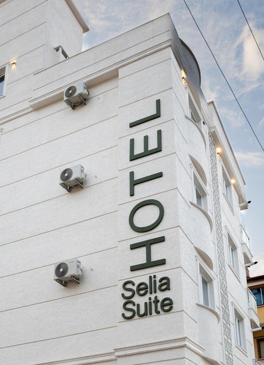 Selia SUİTES - Housity