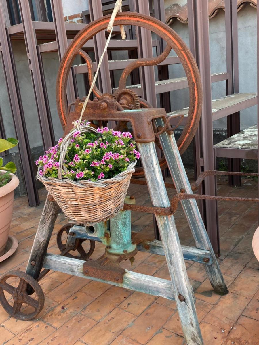 Villa Carolea - Housity