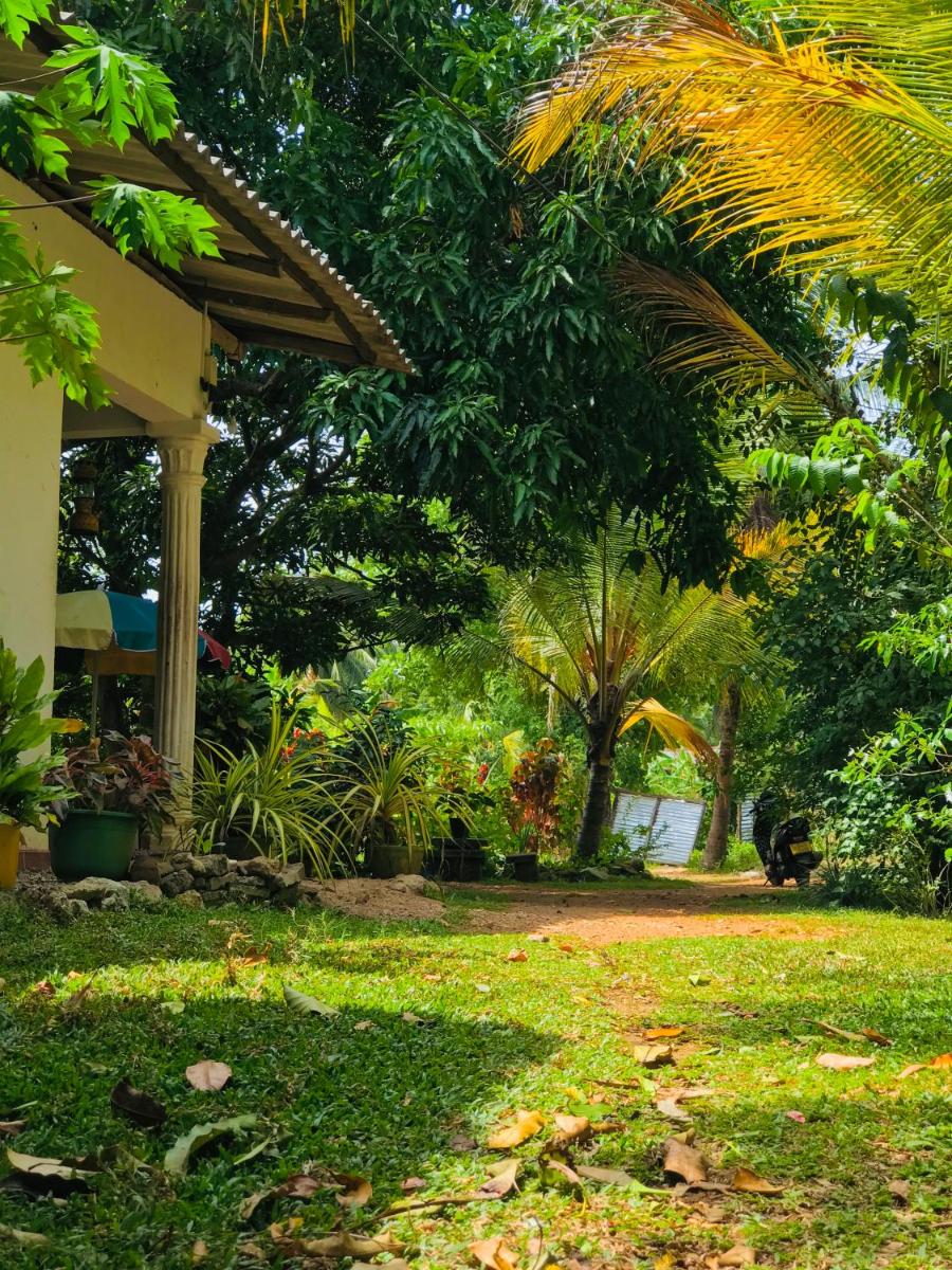 Sigiri Lakshan Home Stay - Housity