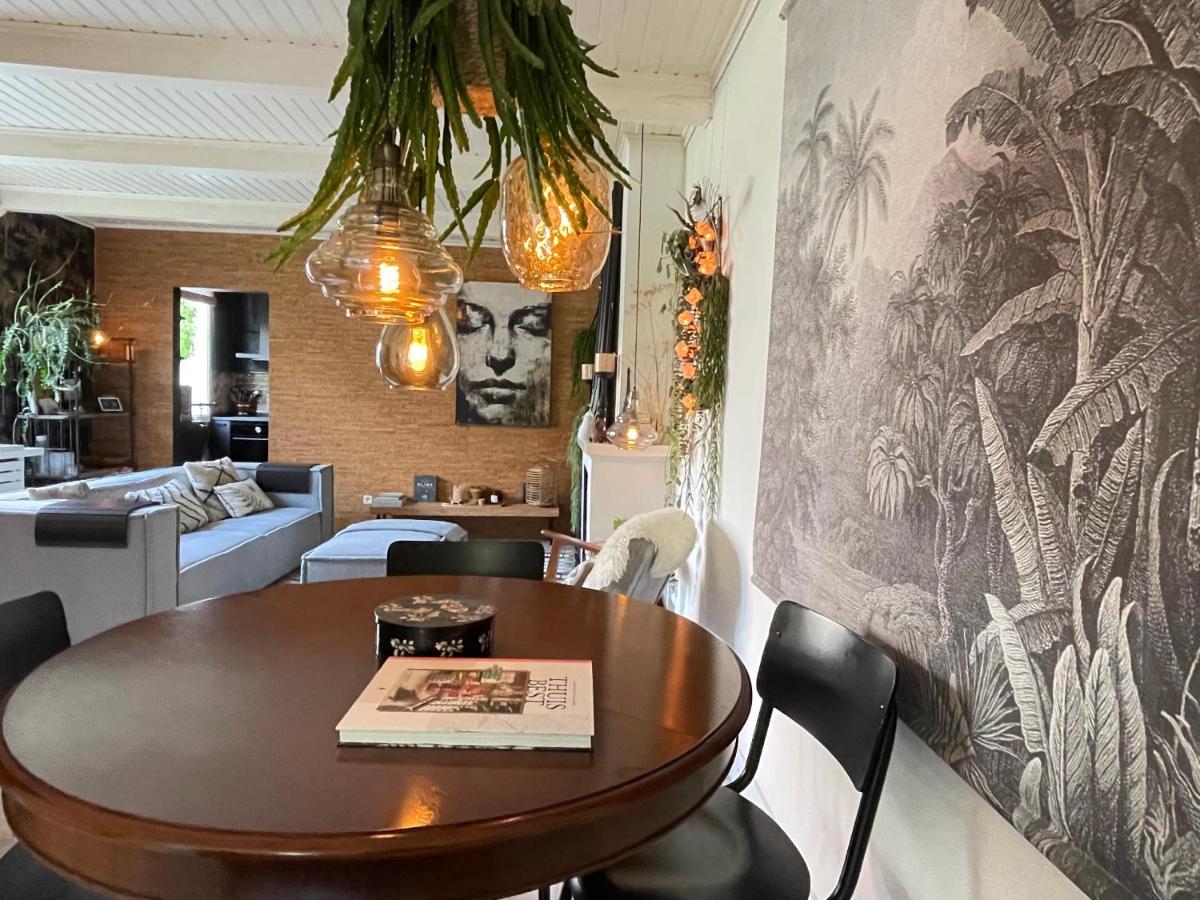 Near Zandvoort F1, Amsterdam Beach house - Housity