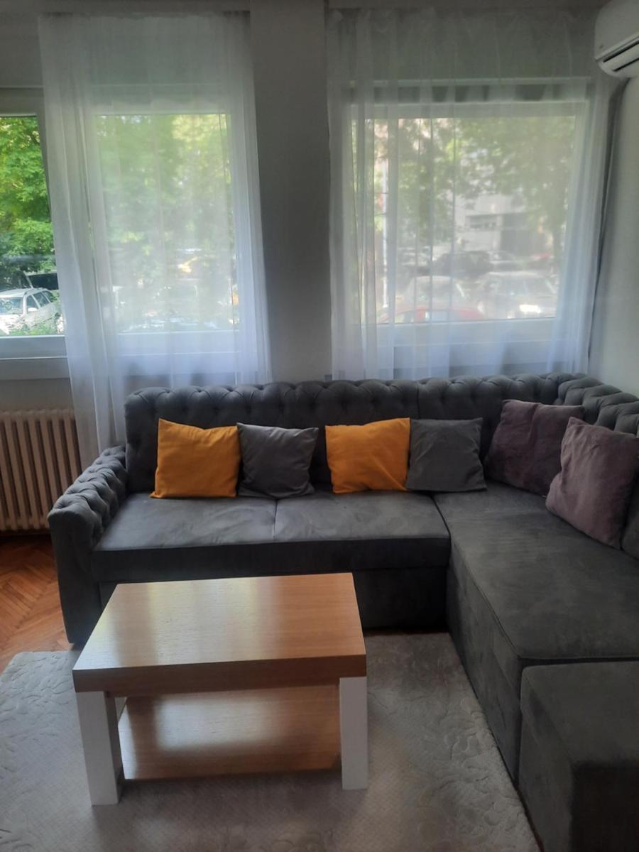 Lion suite - Housity