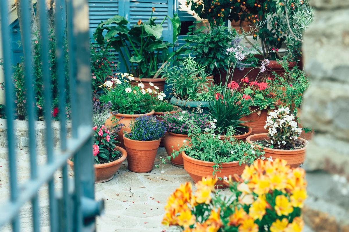 Mylos Apartments - Housity