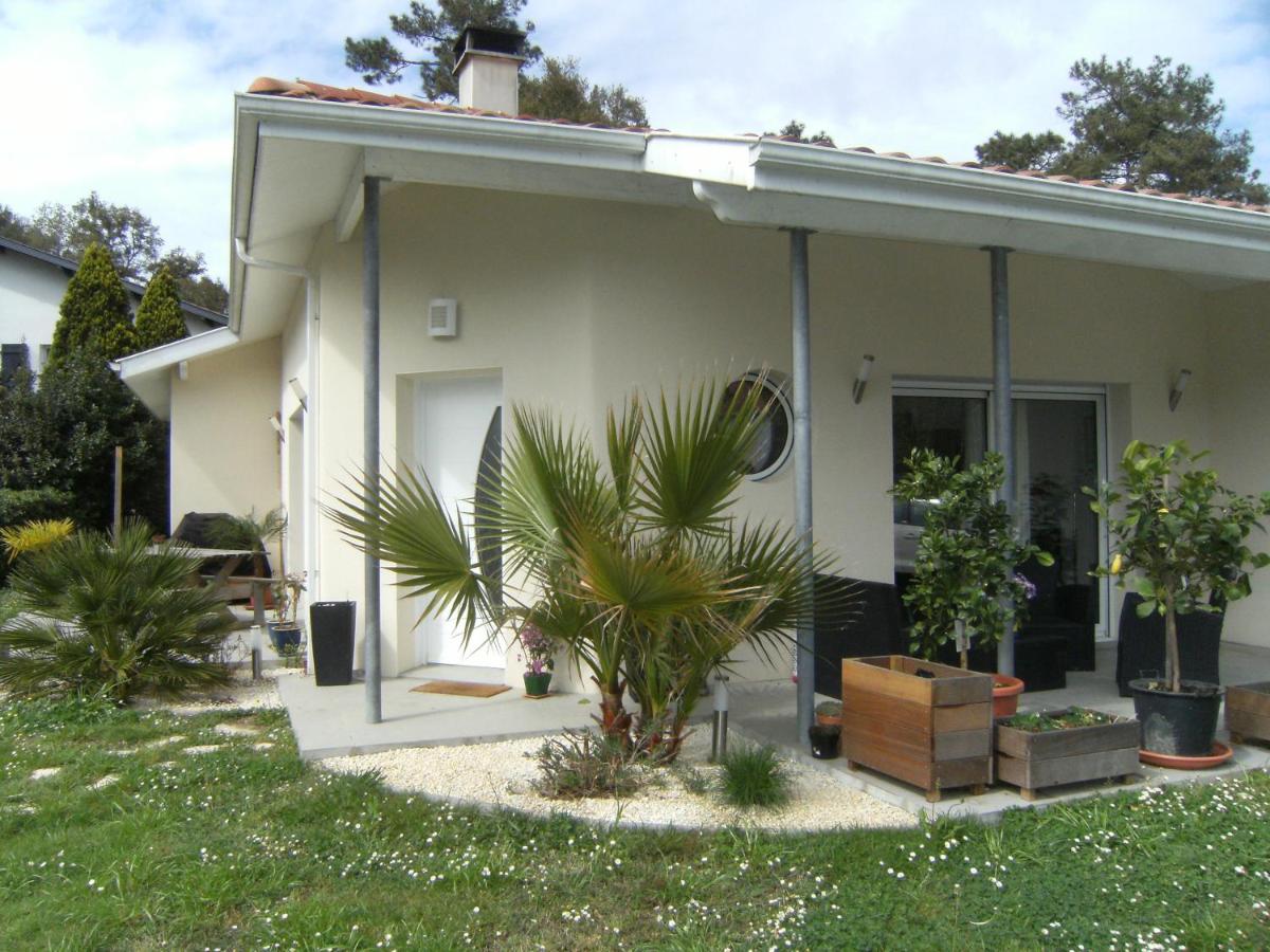 La Palibe - Housity
