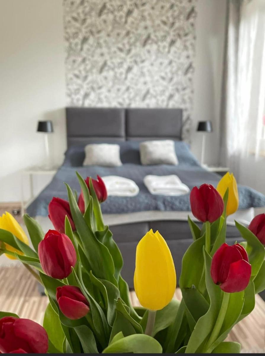 Villa Marzenie Pokój 2 osobowy - Housity