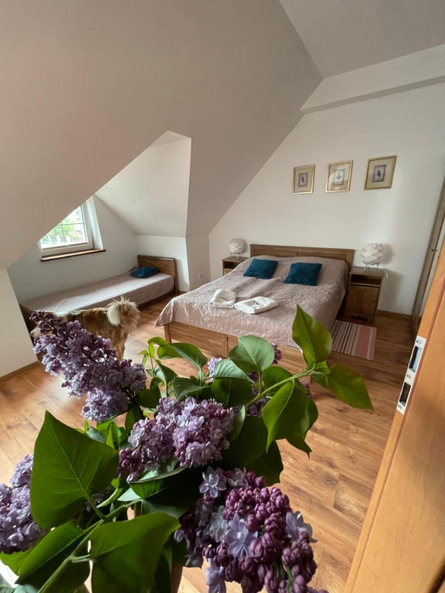 Villa Marzenie Pokój 2 osobowy - Housity