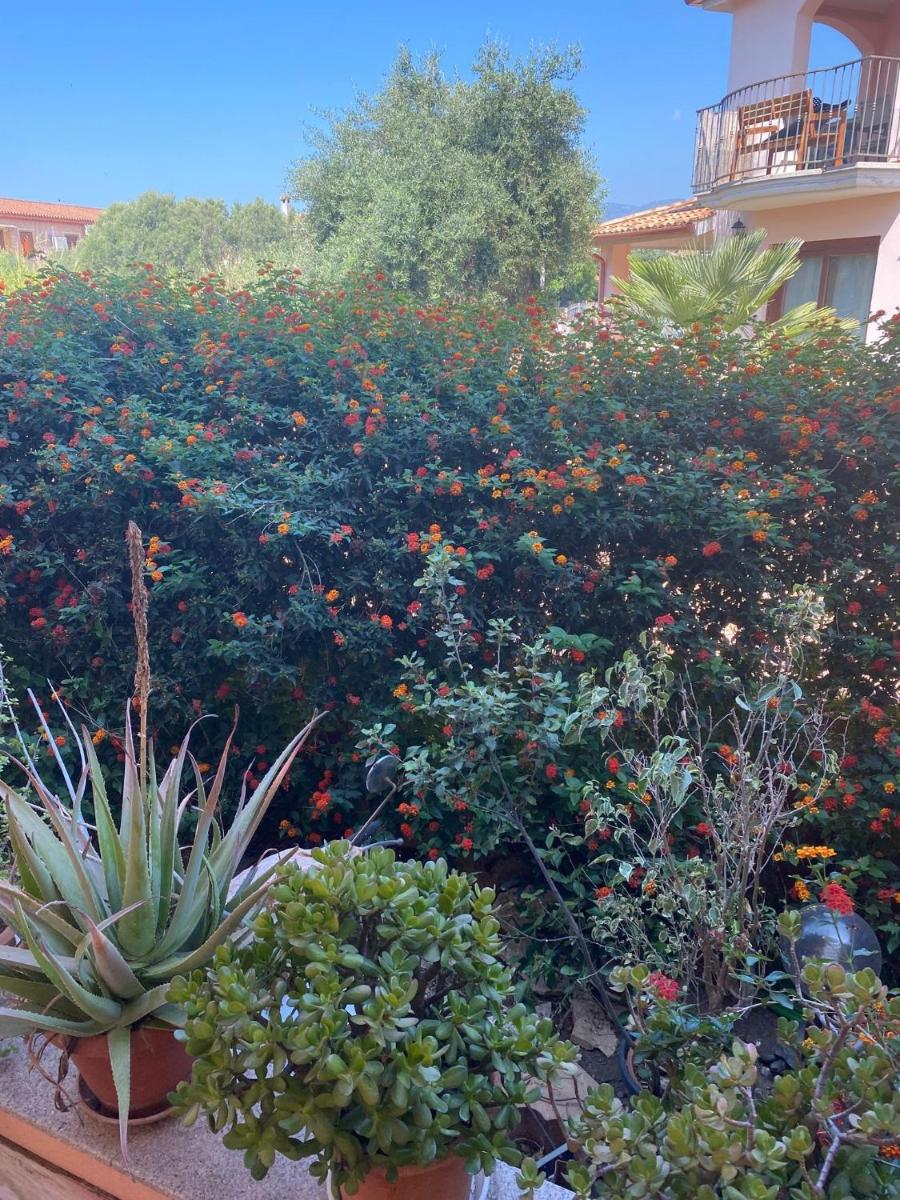 A casa di Oba, a pochi minuti dal mare (IUN P9041) - Housity