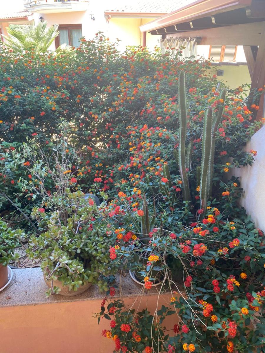 A casa di Oba, a pochi minuti dal mare (IUN P9041) - Housity