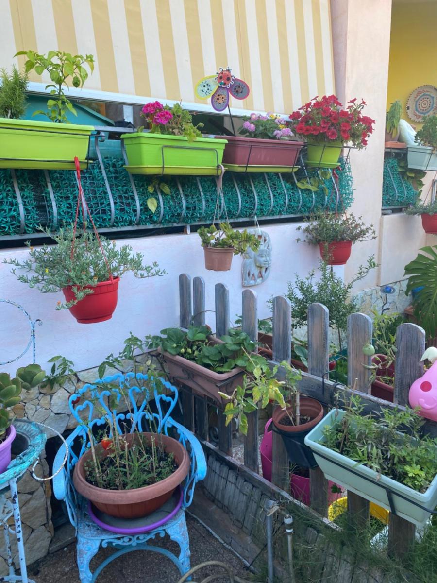A casa di Oba, a pochi minuti dal mare (IUN P9041) - Housity