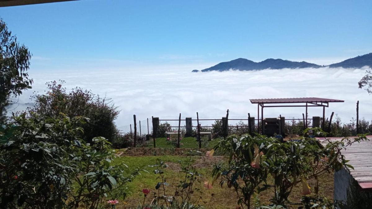 The Views - True Baduaga Living - Housity