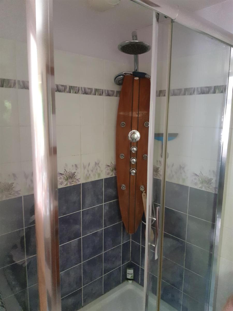 les orchidees sauvages - Housity