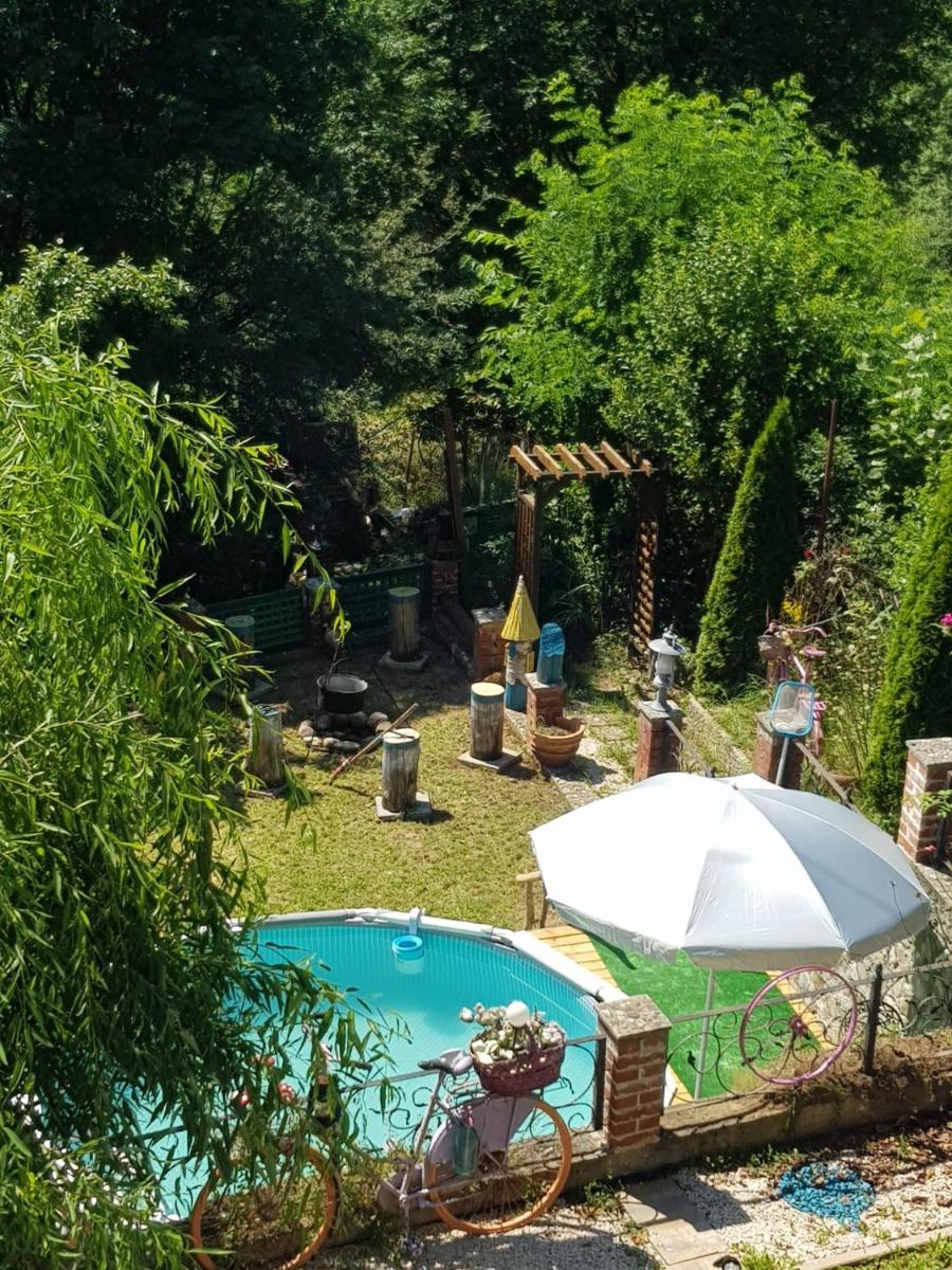 Barbu Ionel - Housity
