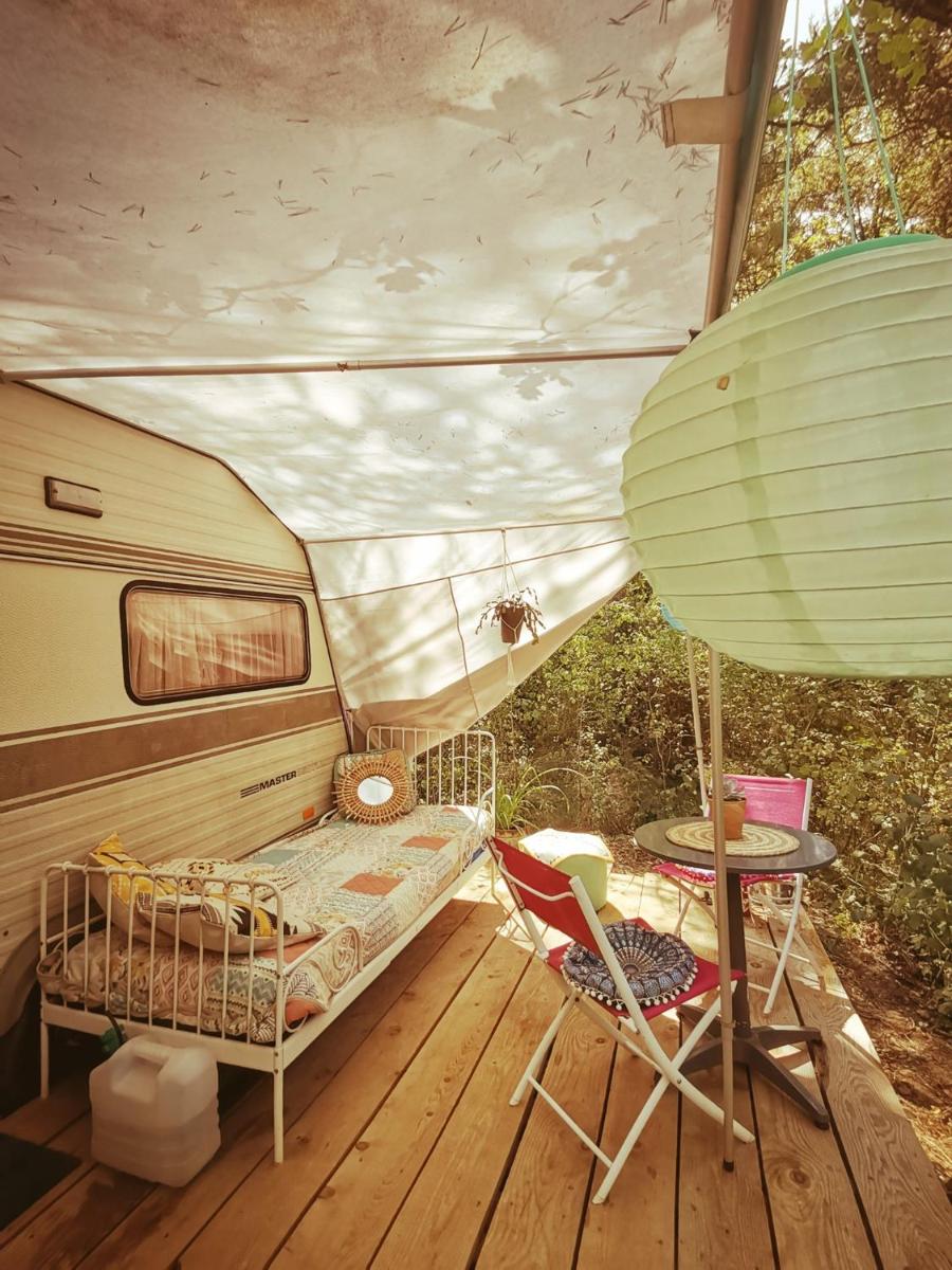 Le Mas des Pins - Housity