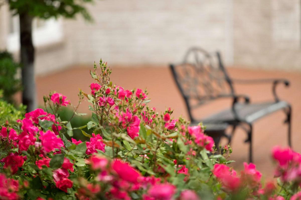 Hilton St. Louis Frontenac - Housity