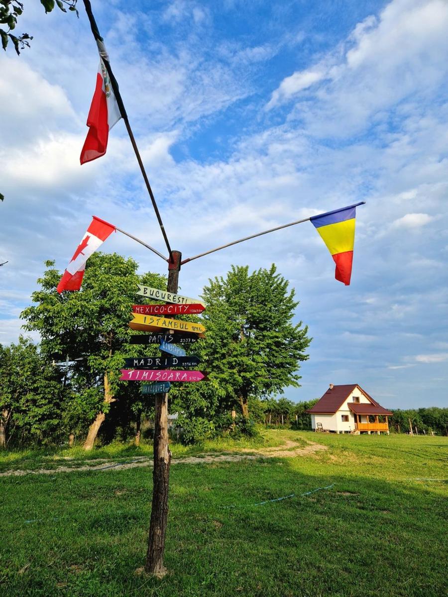 Agapia Agapescu - Hizvo