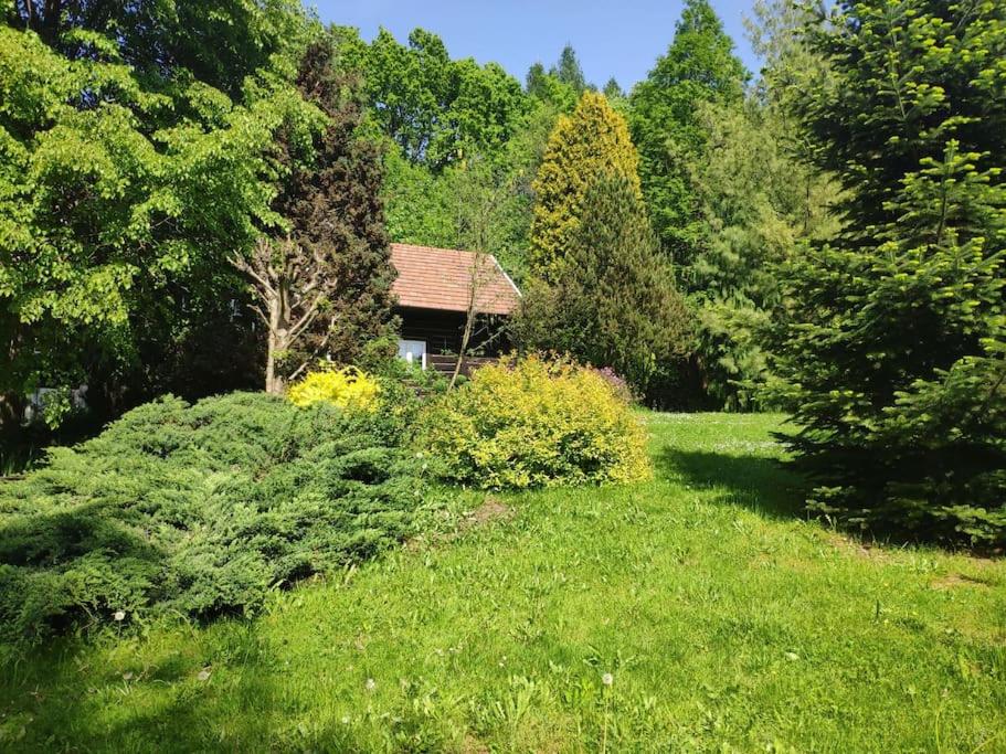 Trzemcha - Housity