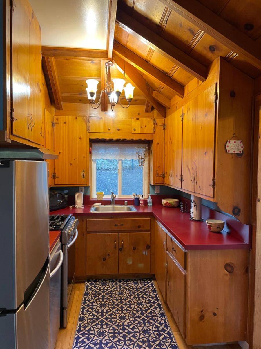 Blue Bird Cottage - pet friendly - Housity