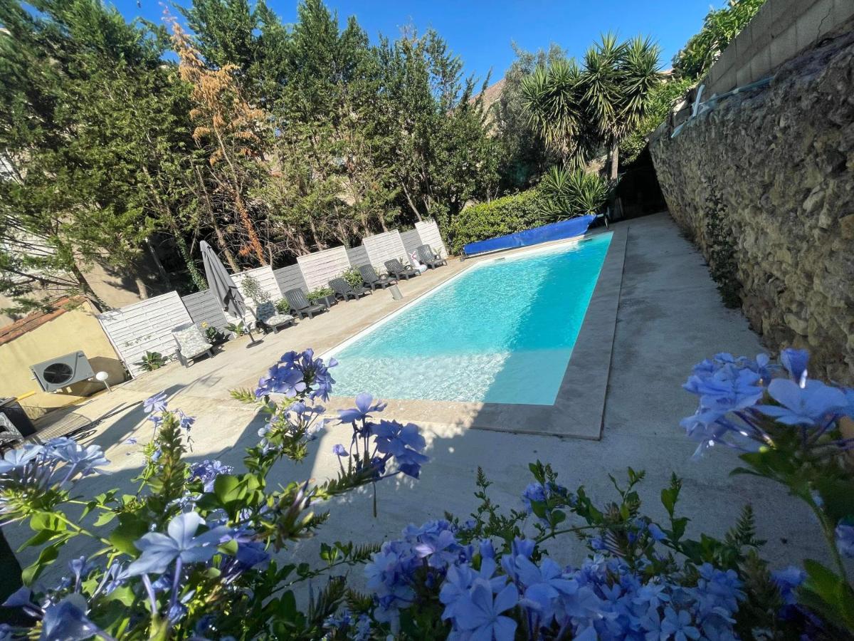 Velezia Studio - Housity