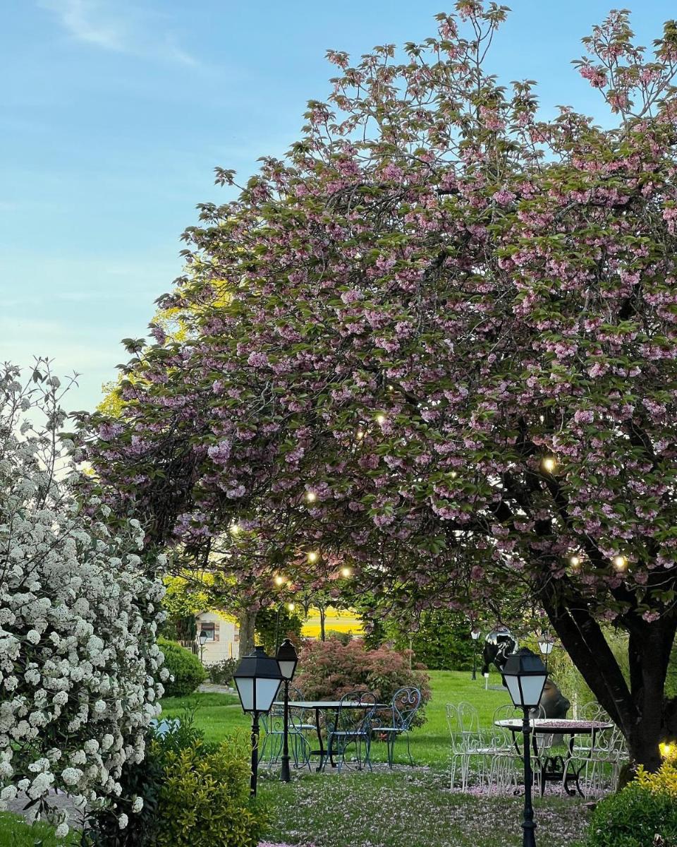 Jardin de l'établissement Armes de Champagne