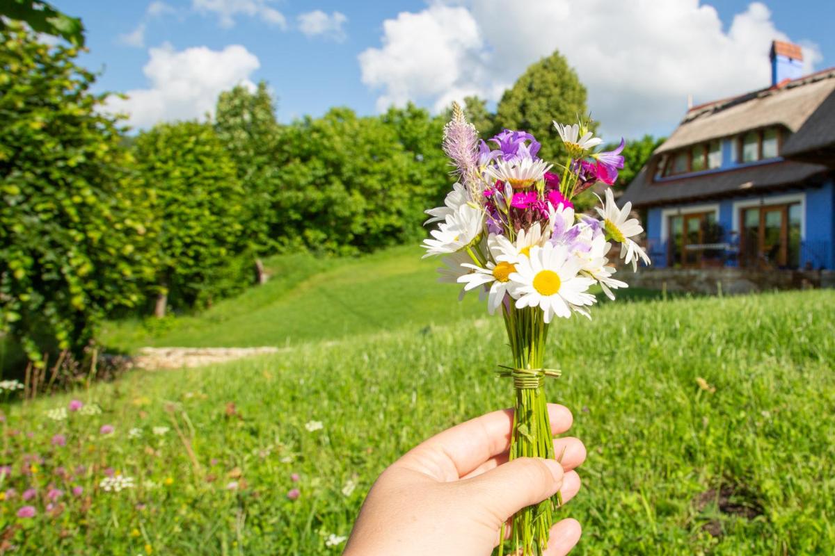 Casele cu Stuf B&B Haus Ulrike - Housity