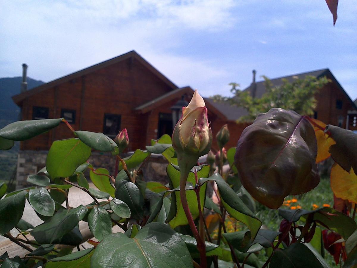 Pasithea Mountain Chalet - Housity