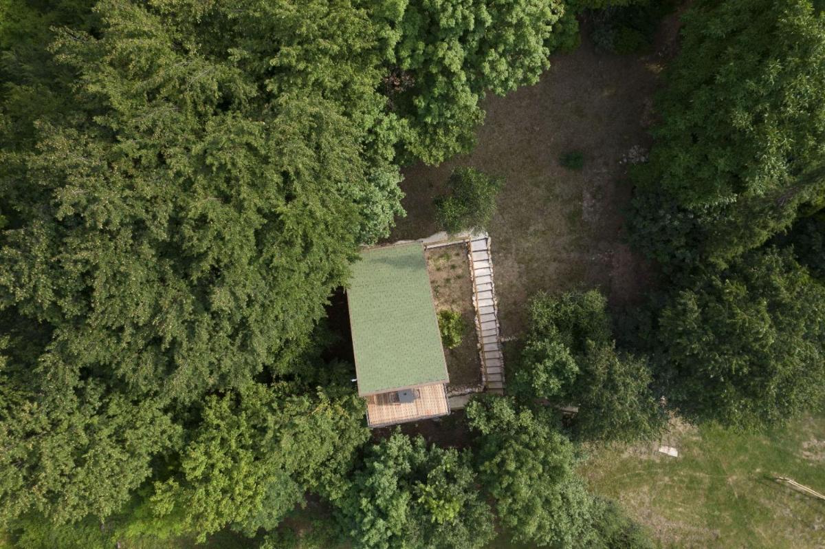 Tree House San Giorgio - Housity