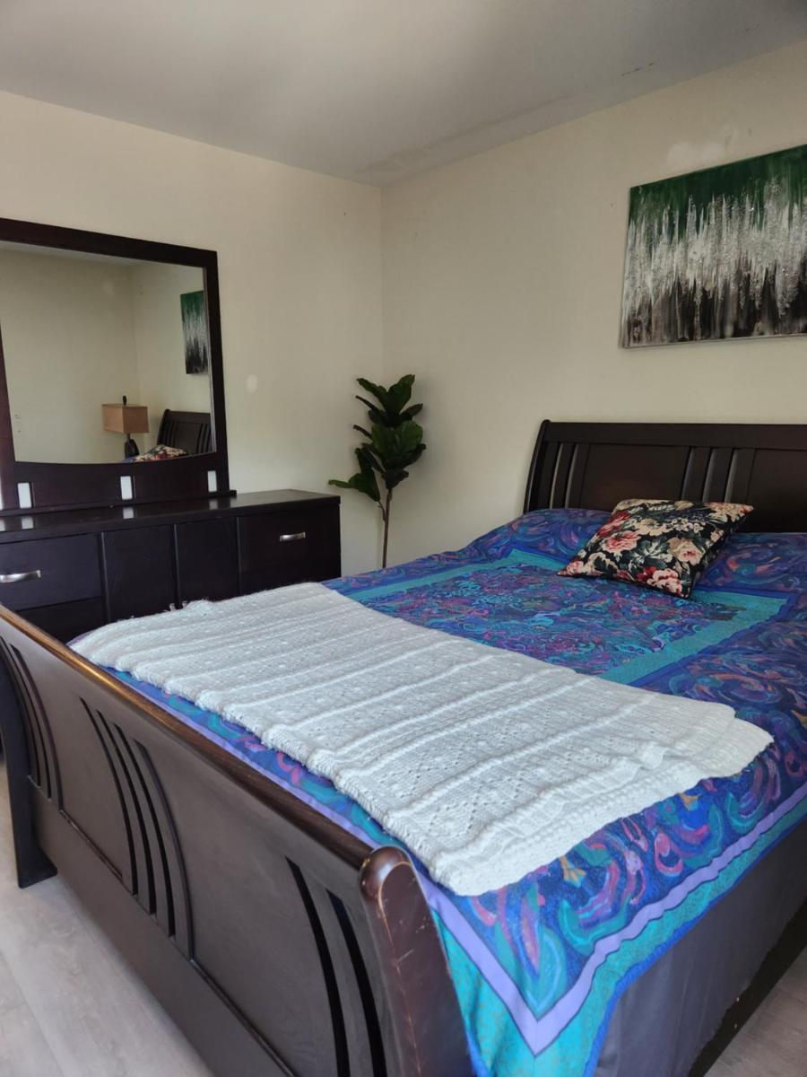 Elmwood stay - Housity