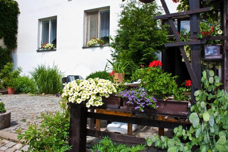 Privat No. 40 - Housity