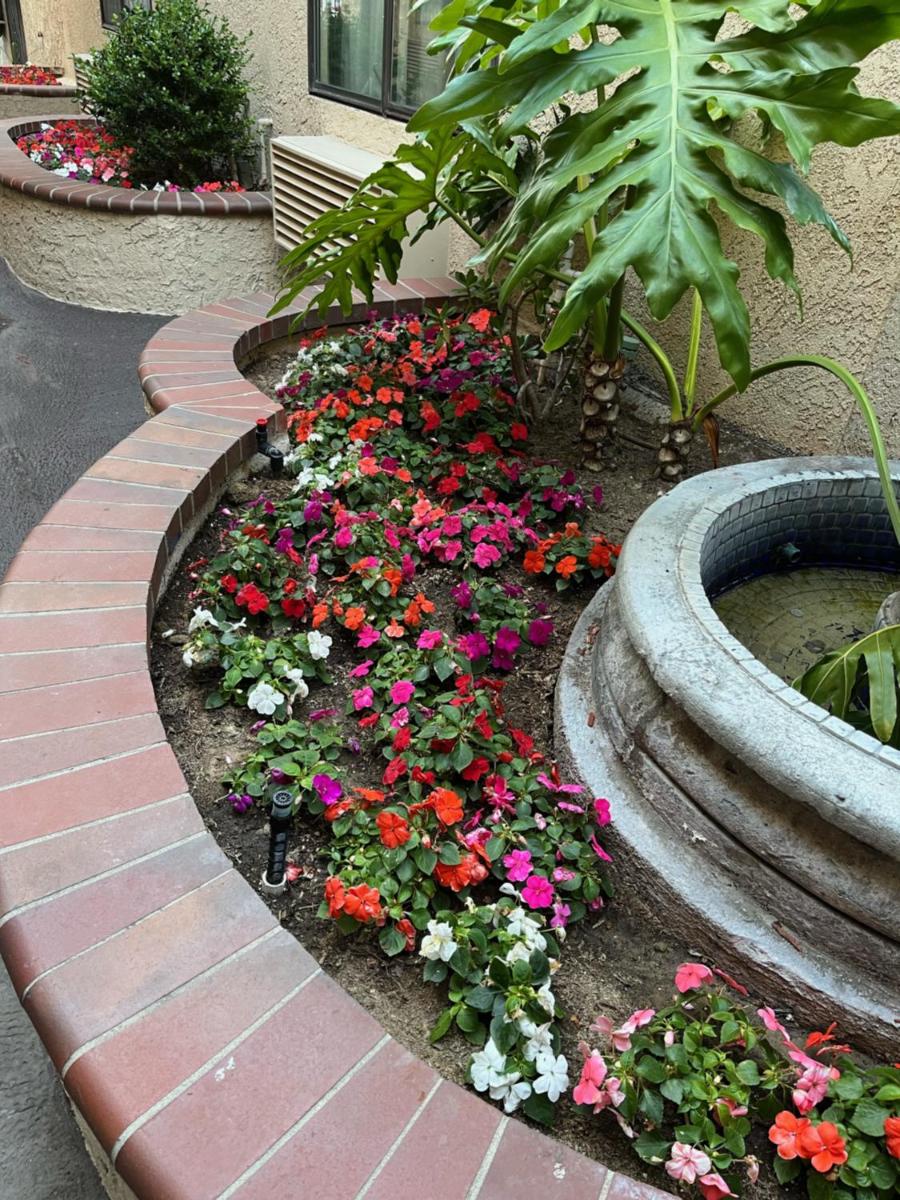 Laguna Inn and Suites - Housity